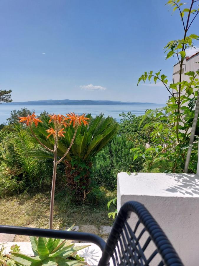 Apartma Bratus Promajna